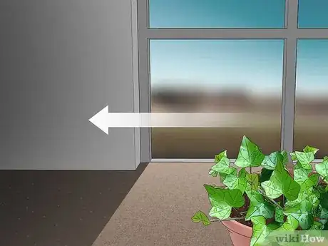 Image titled Grow English Ivy Indoors Step 4