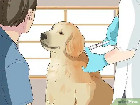 Image titled Stay Updated on Dog Vaccinations Step 4