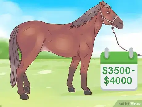 Image titled Choose Your Horse Step 3