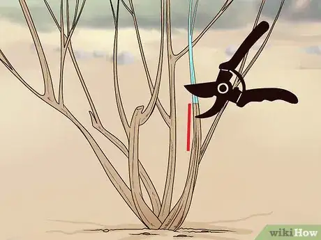 Image titled Prune Vines Step 3