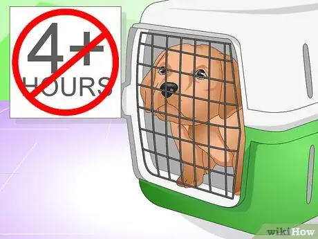 Image titled Discipline a New Puppy Step 18