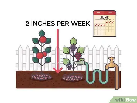 Image titled Plant a Cocktail Garden Step 13