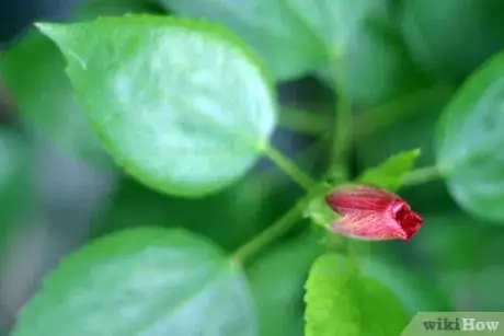 Image titled Shoot for Depth of Field Step 6