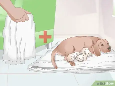 Image titled Get a Litter of Puppies to Sleep Step 8