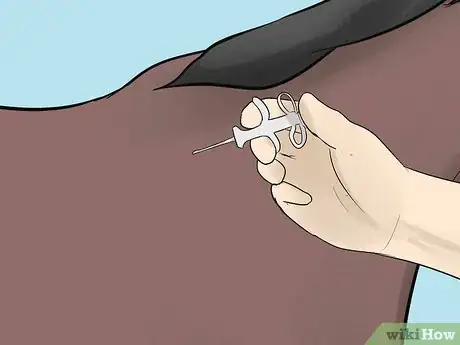 Image titled Create a Disaster Preparedness Plan for Your Horse Step 2