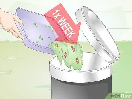 Image titled Keep a Cat Healthy Step 9