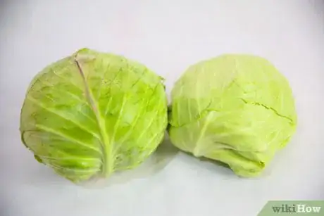 Image titled Select and Store Cabbage Step 5