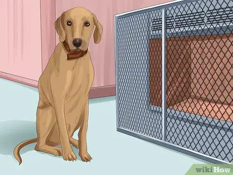 Image titled Keep Your Pets Safe in Winter Step 11