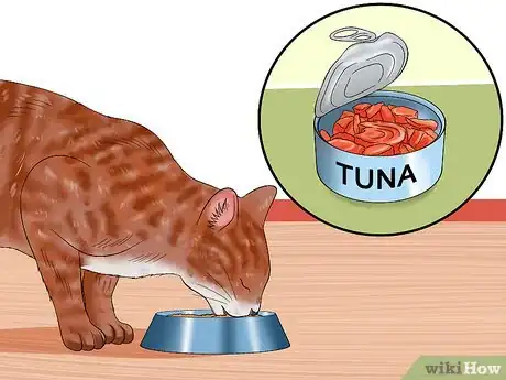 Image titled Choose Cat Treats Step 6