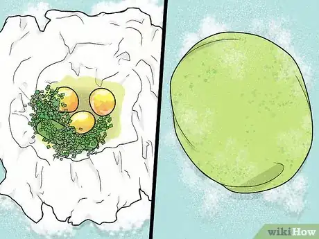 Image titled Make Homemade Pasta Step 10