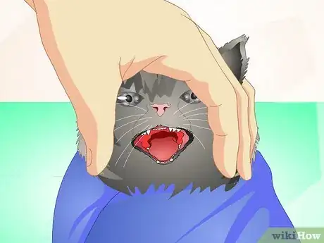 Image titled Deliver Oral Medication to Cats Step 12