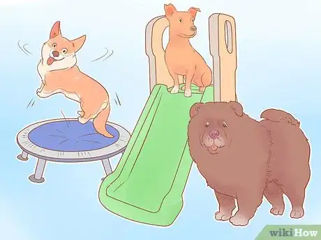 Image titled Keep Your Dog Entertained Step 5