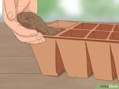 Image titled Grow Dichondra Step 3