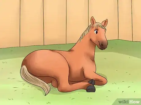 Image titled Care for a Gaited Horse Step 5