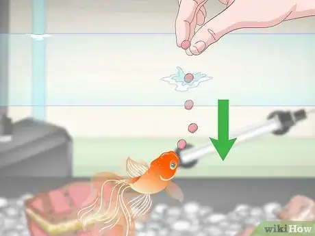 Image titled Care for Fancy Goldfish Step 14