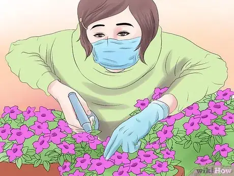 Image titled Grow Petunias Step 16