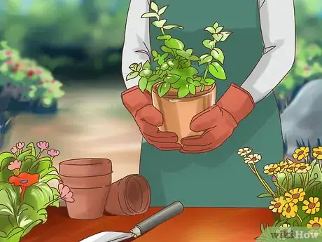 Image titled Get Fit As a Teen Without Boredom Step 7