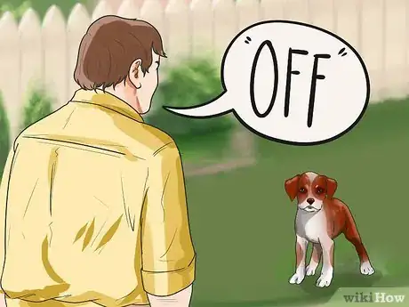 Image titled Train a Boxer Dog Step 10