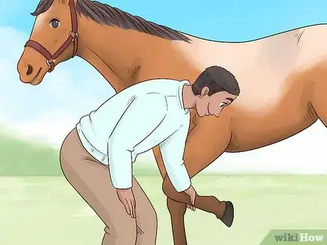 Image titled Train Your Horse for the Farrier Step 8