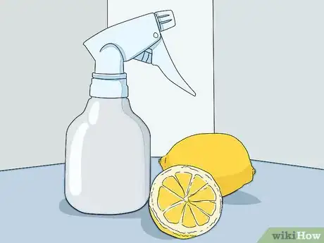 Image titled Prevent Flea Bites Step 11