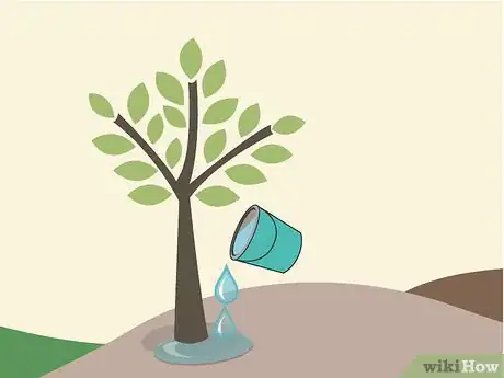 Image titled Grow Lanzones Step 14