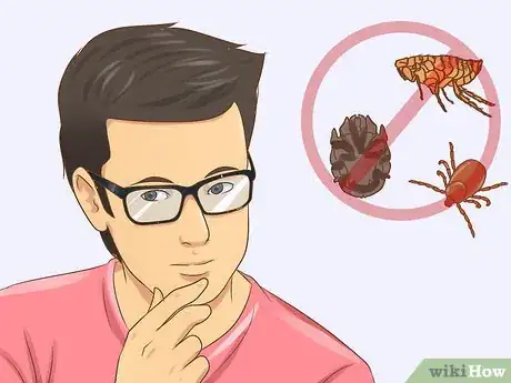 Image titled Choose Between Oral and Topical Flea Preventatives Step 7