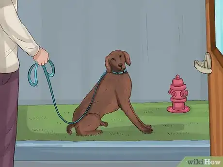 Image titled Travel Safely With Dogs Step 12