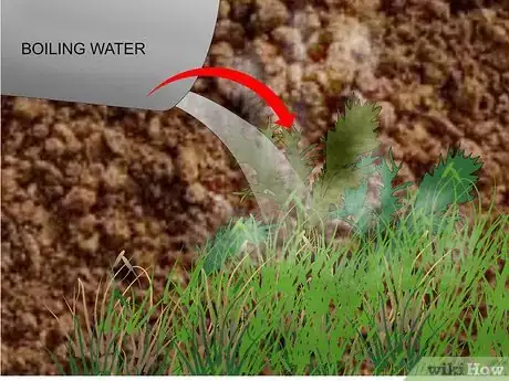 Image titled Kill Weeds Step 10