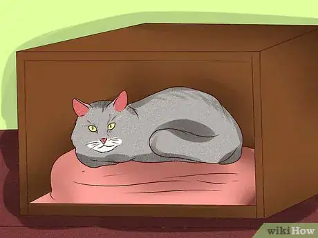 Image titled Make a Cat Closet Step 14