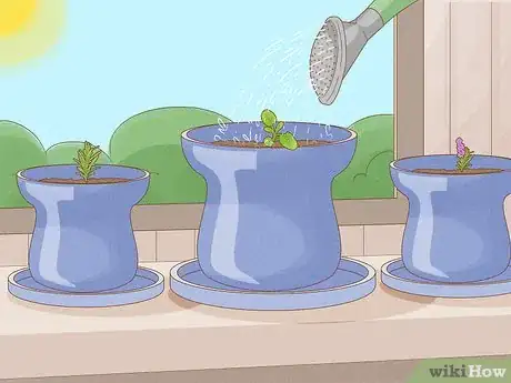 Image titled Grow an Herb Garden Step 22