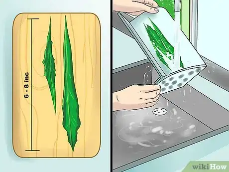 Image titled Eat Chicory Step 8