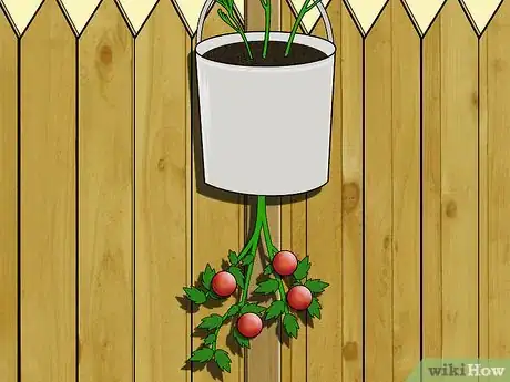 Image titled Make an Upside Down Tomato Planter Step 8