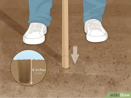 Image titled Grow Runner Beans Step 10