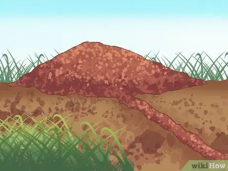 Image titled Catch Moles Step 6