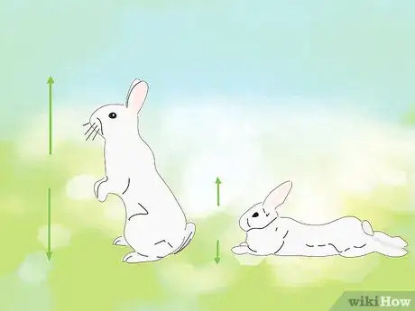 Image titled Address Biting and Aggressive Behavior in a Rabbit Step 1