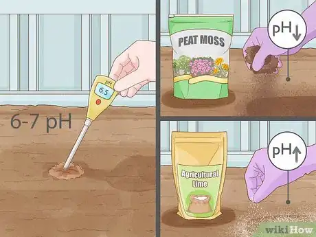 Image titled Plant Parsnips Step 5