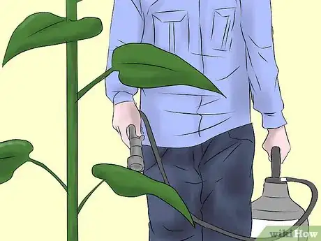 Image titled Get Rid of Sunflowers Step 2