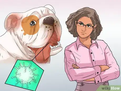 Image titled Treat Canine Periodontal Disease Step 9