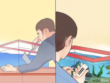 Image titled Make Your Fish Live Longer Step 21