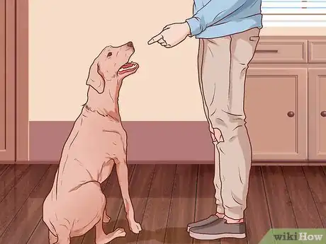 Image titled Put Nail Polish on Your Dog's Nails Step 1