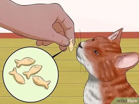 Image titled Amuse Cats Step 12