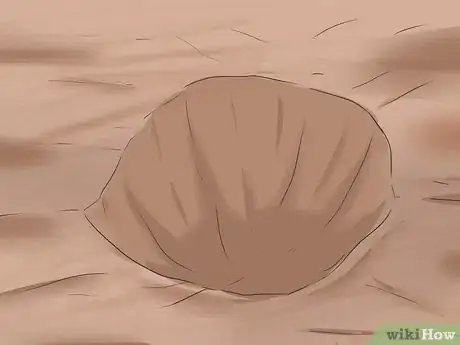 Image titled Plant Sunflower Seeds Step 7