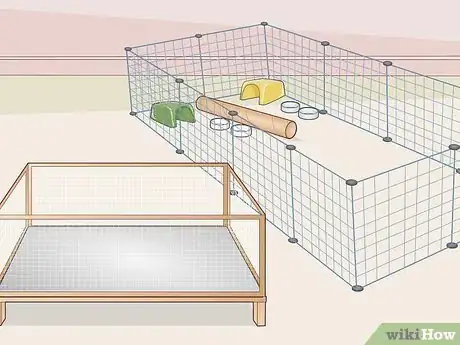 Image titled Help Two Guinea Pigs Get Along Step 4