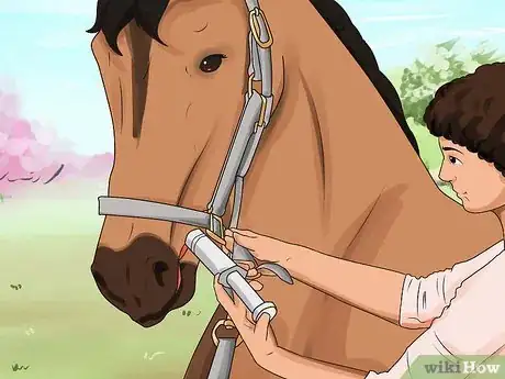 Image titled Deworm a Horse Step 6