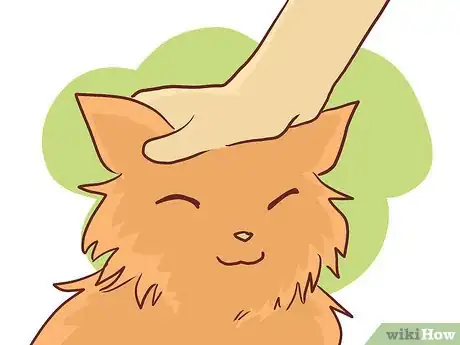 Image titled Bathe a British Shorthair Step 5