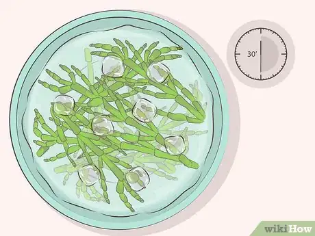 Image titled Cook Sea Asparagus Step 5