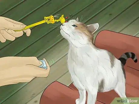 Image titled Prevent an Energetic Kitten from Hurting Itself Step 12