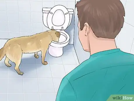 Image titled Get a Dog to Stop Drinking from the Toilet Step 1