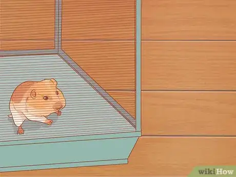 Image titled Keep Your Pets Happy Step 8