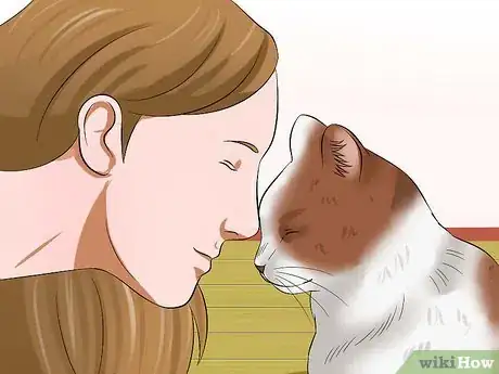 Image titled Amuse Cats Step 16